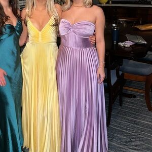 Amur Stef Pleated dress Worn Once Og: $698 selling for: $325 Size: 2